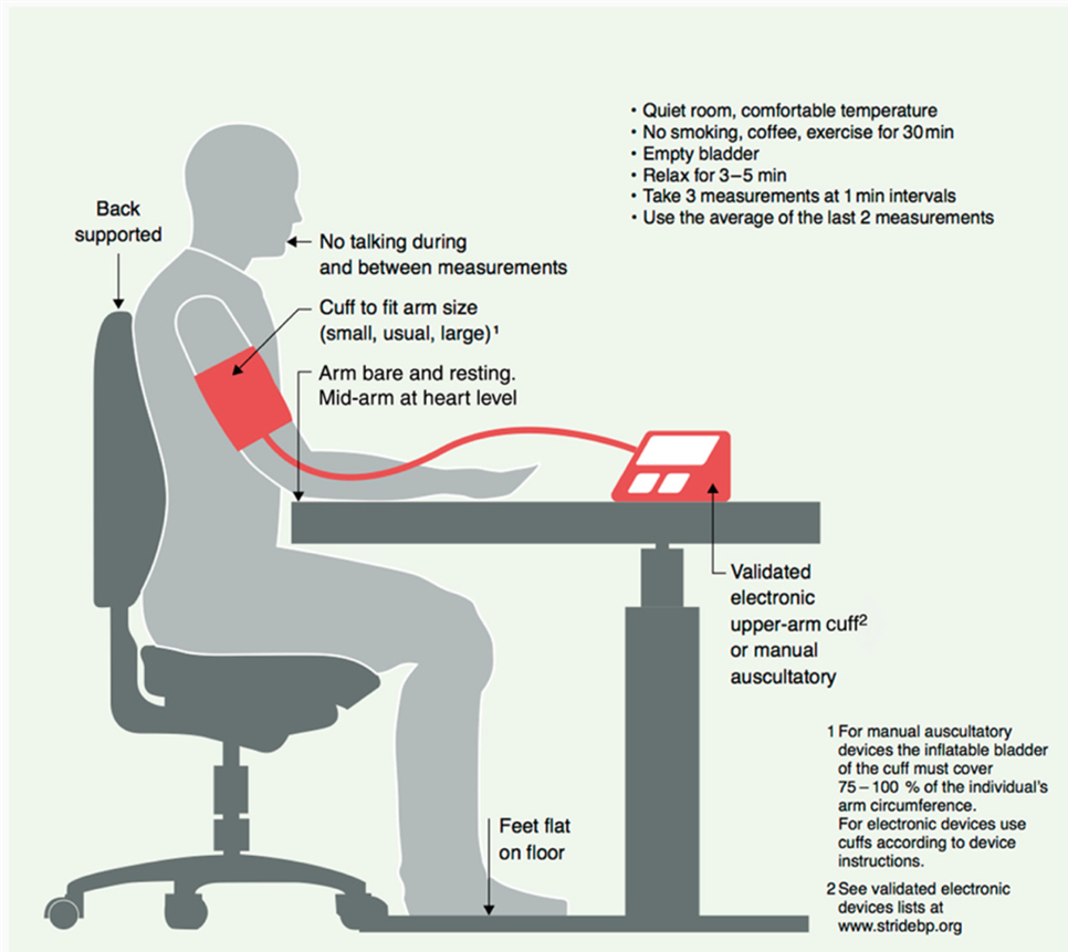 Blood Pressure Measurement Guide