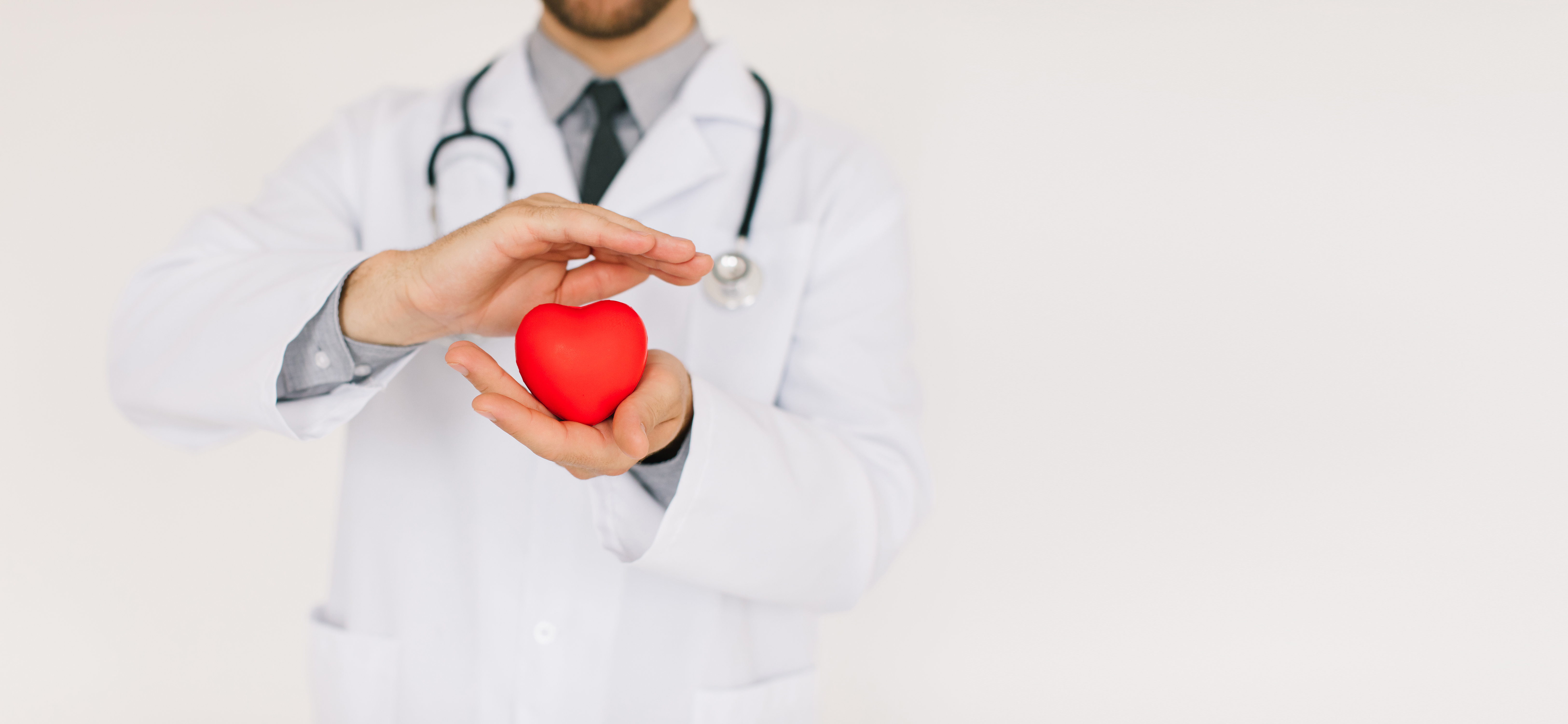 male-cardiologist-doctor-holding-heart-with-copy-space-white-background