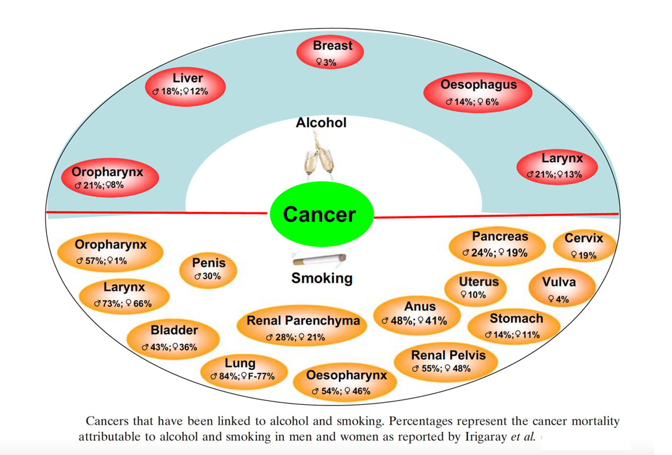 Smoking & Alcohol