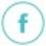facebook-icon
