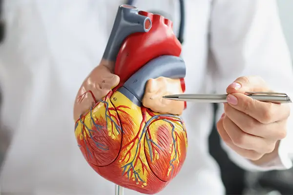 08 HealthDigest - What You Can_t Do With a Pacemaker small