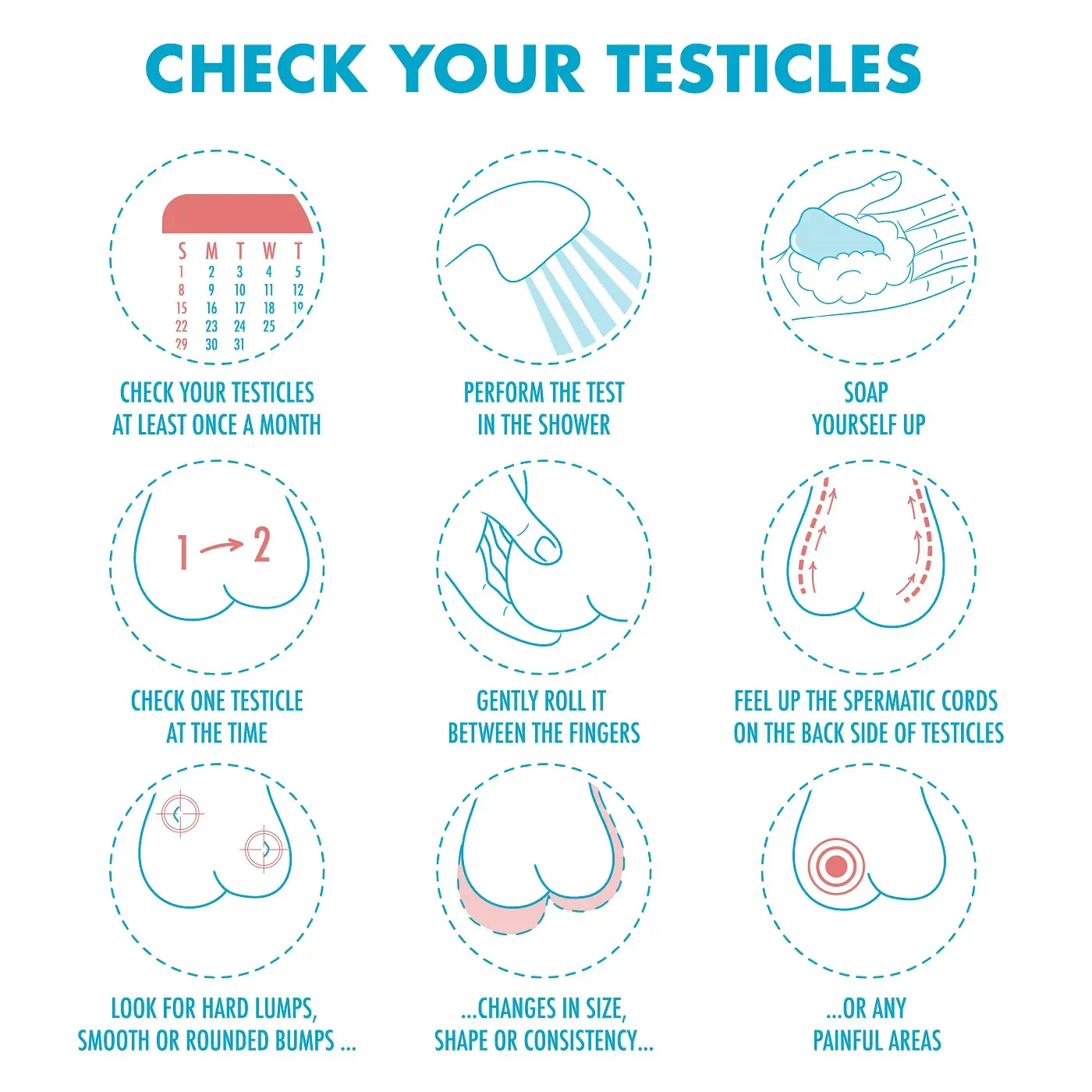 self-check testicular cancer steps image