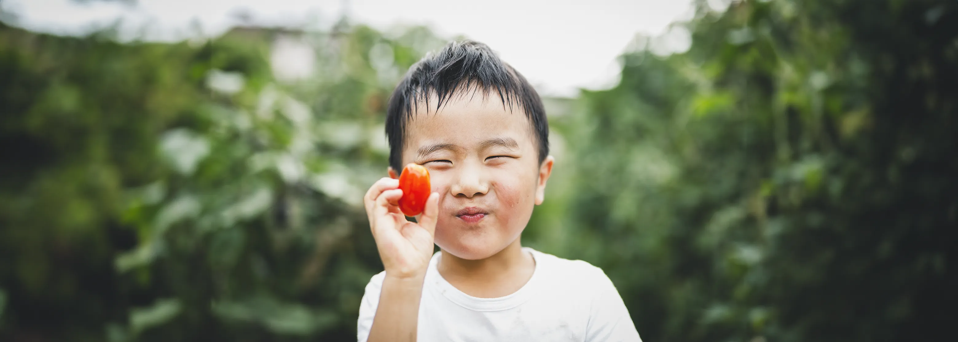 Childhood Nutrition Guide_DesktopBanner