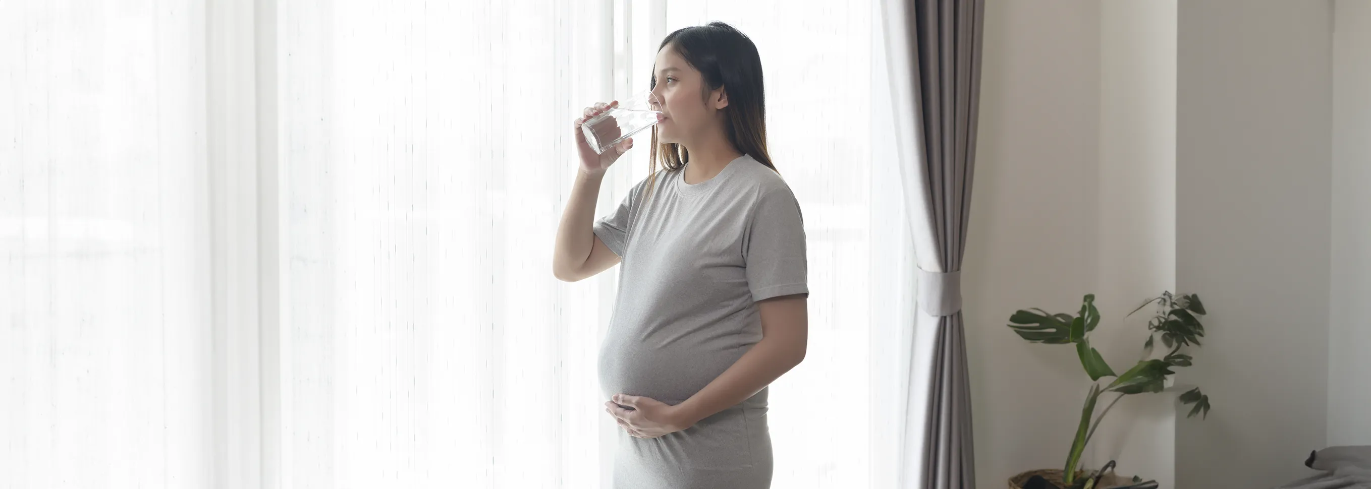 Understanding Morning Sickness in Pregnancy_DesktopBanner