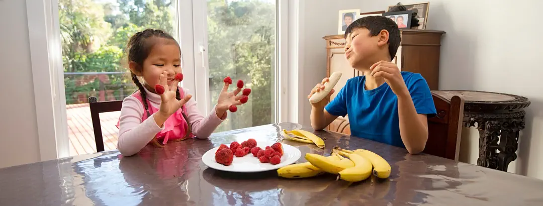 Nutritional Benefits of Dietary Fibres_DesktopBanner