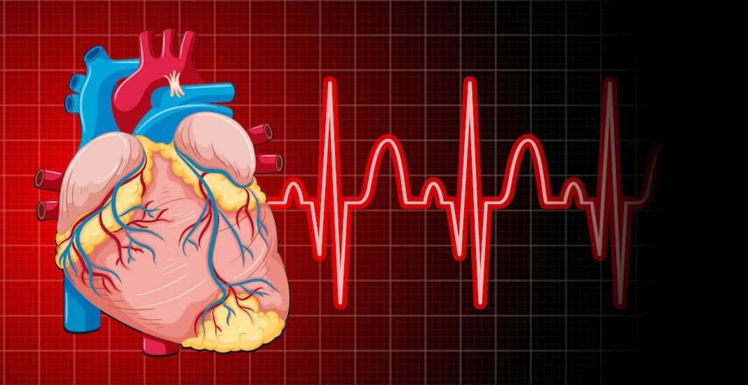 Heartbeat with heart rate graph