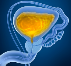 bacterial prostatitis