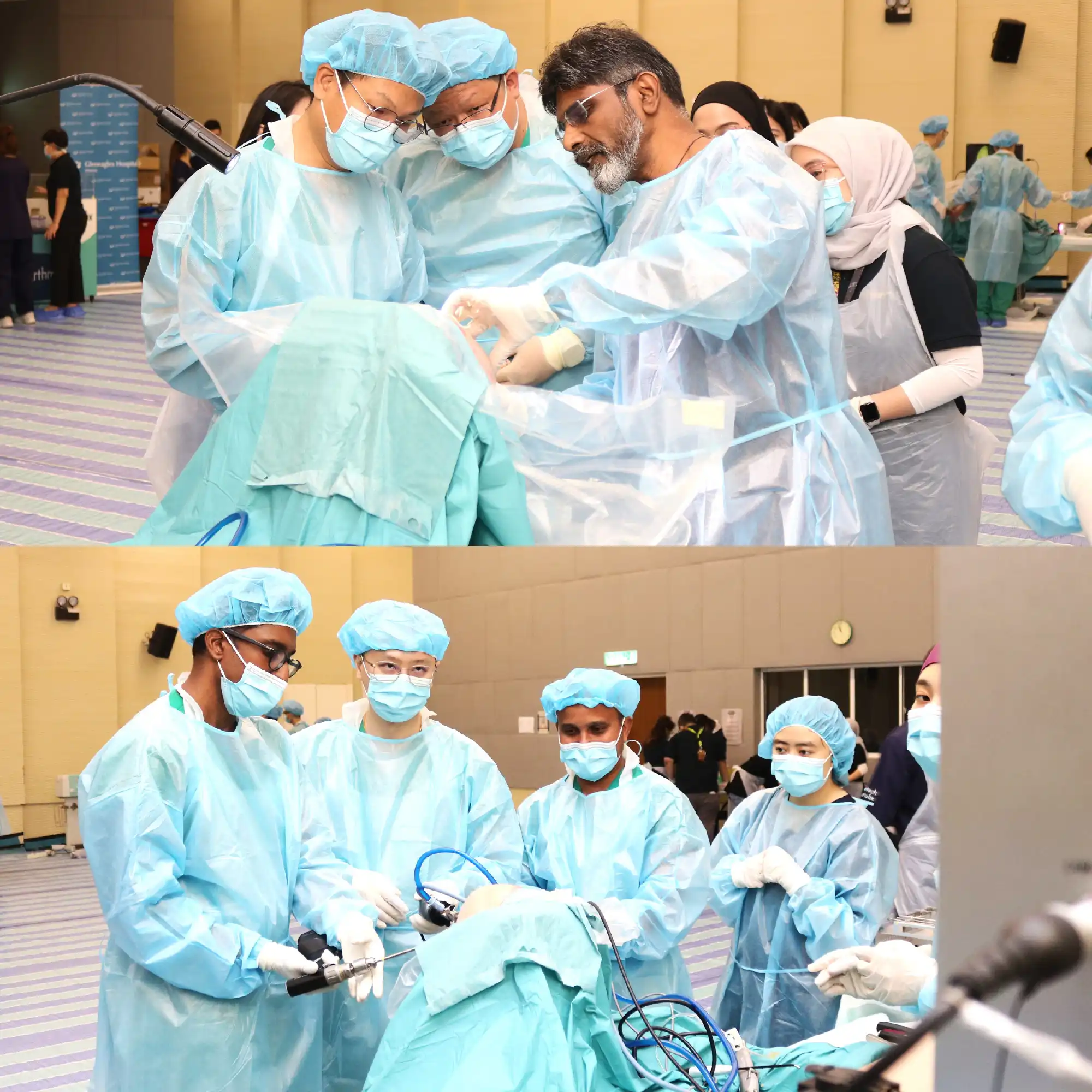 Cadaveric Workshop 2024.2 image