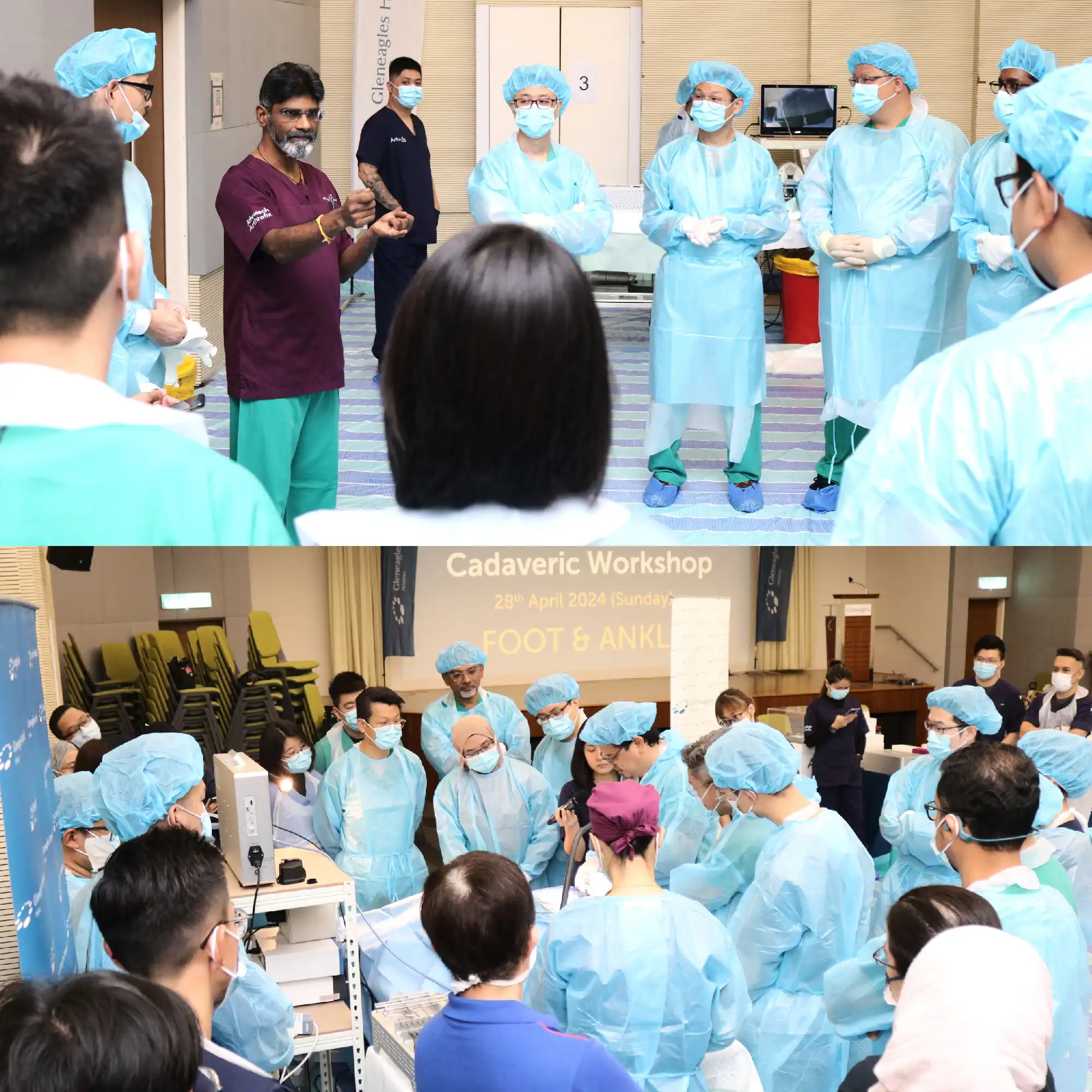 Cadaveric Workshop 2024.3 image